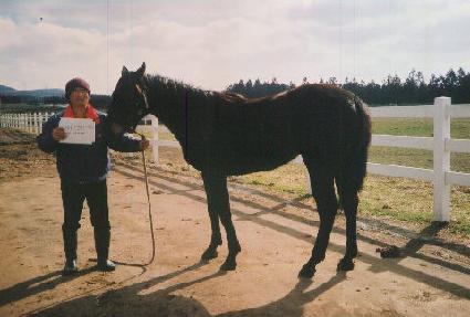 �Ѷ������� ����