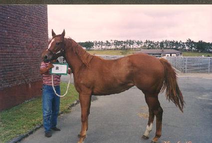 �ڸ� ����