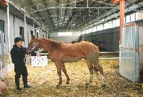 Ȳ��źȯ (HWANGSAEK TANHWAN) ����