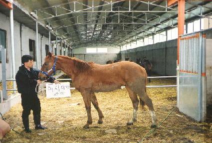 Ȳ��źȯ ����