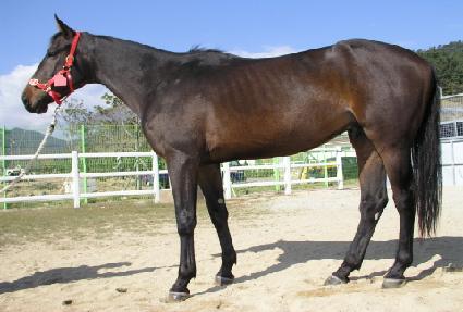 û���� ����