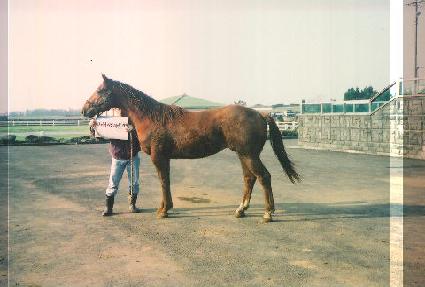 �������� ����