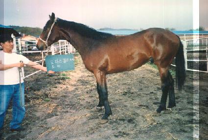 ���򼺴� ����