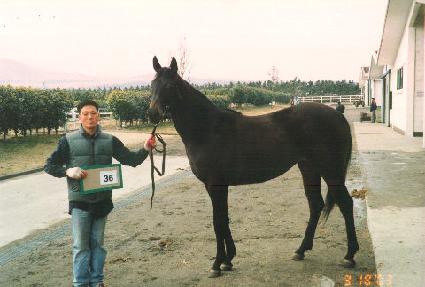 ���ǰ��� ����