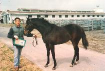 ��񿪿� (UN BI YEOK YONG) ����