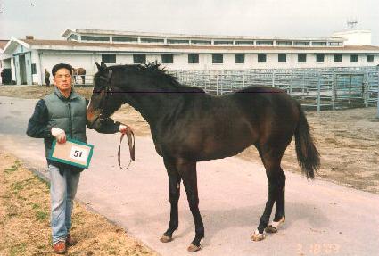 ��񿪿� ����