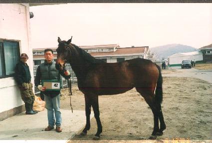 �Ͻ����� ����