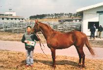 �̸��̸� (MIRIMIRI) ����