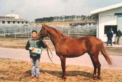 �̸��̸� ����