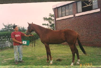 ��õ���� ����