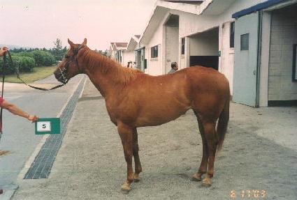 ���� ����