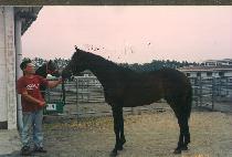 �����Ű��� (ILJIMAEGONGJU) ����