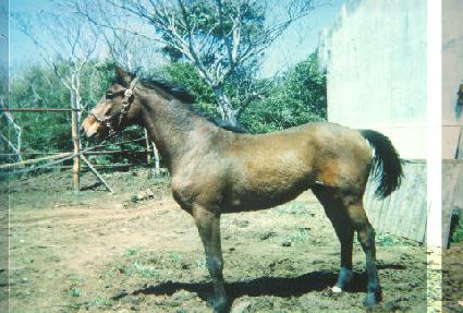 �ǹ� ����