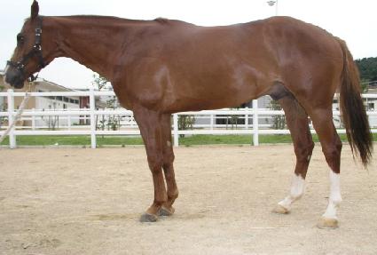 ������ ����