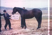 �����ô� (GAEHYEOK SIDAE) ����