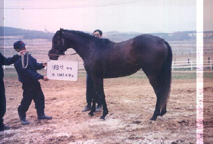 �����ô� ����