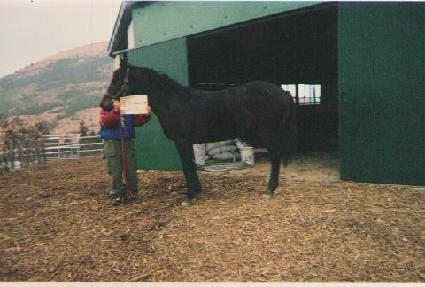 �����Ǵ� ����