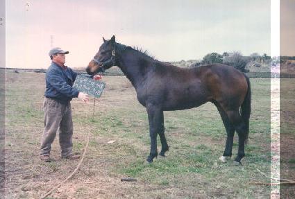 ����� ����