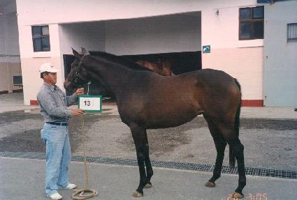 ���� ����