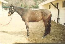 ����ռ� (HYEOLGI WANGSEONG) ����