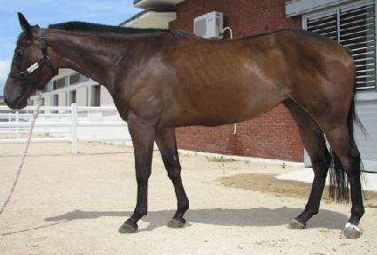 ž�� ����