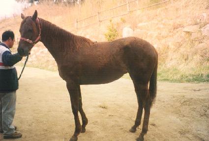 ��ũ�ص���� ����