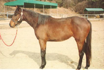 ��������� ����