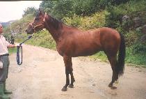 ��õ (BYEOKCHEON) ����