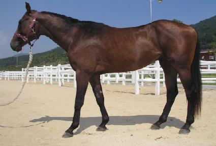 ����ġ ����