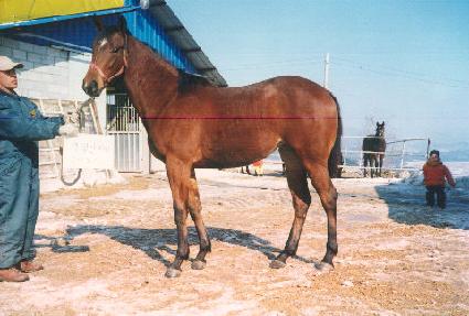 �Ÿ��ռ� ����