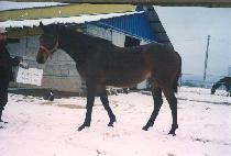 ����ƮŸ�� (PERFECT TIME) ����