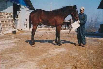 �ͺ����� ����