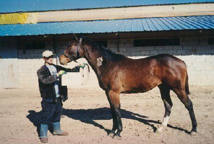 ���� ����