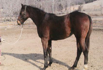 ��û ����