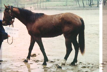 �ݰ����� ����