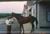 �ٱ��� (JULGICHA) ����