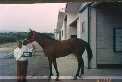 �ٱ��� ����