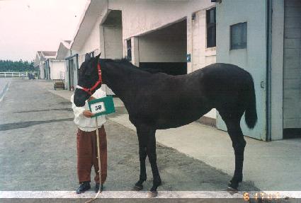 õ�ǿ��� ����