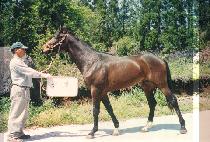 �뼺�� (DAESEONGI) ����