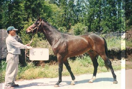 �뼺�� ����