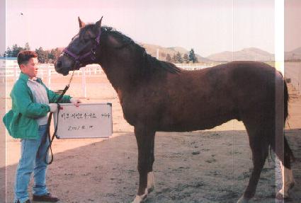 �������� ����