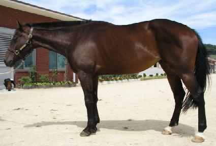 ù���� ����