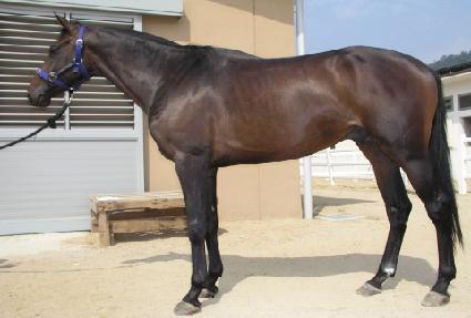 ���� ����