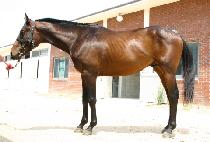 ������ (MUYEOKHANG) ����