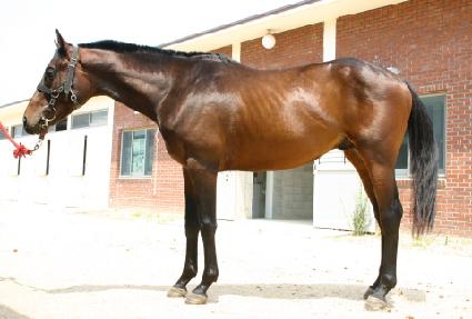 ������ ����