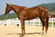 ��������ġ (BYEOLDEURUI JANCHI) ����