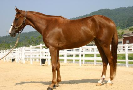 ��������ġ ����