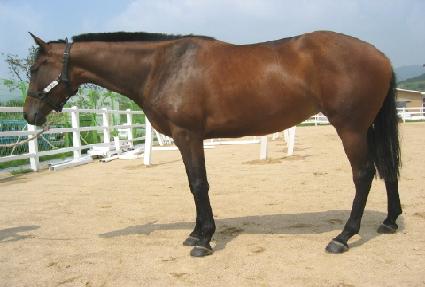 ����ȴ��� ����