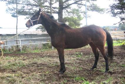 ��û�� ����