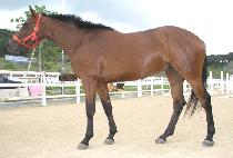 �ٷ��� (BARAEBONG) ����